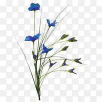 切花-空若网 切花-空若网