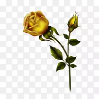 õ�廨�ټ�����-������