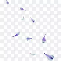 ����ˮ�ʻ�������-������