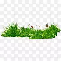 ¼ôÌù»-¿ÕÈôÍø ¼ôÌù»-¿ÕÈôÍø