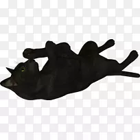 ��è����è-������