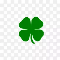 ��Ҷ����Ҷ�ݰ���Ҷ�ݼ�����-������