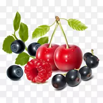 浆果剪贴画-樱桃蓝莓照片-空若网 浆果剪贴画-樱桃蓝莓照片-空若网