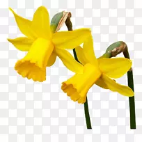 Ë®ÏÉ»¨²©¿Í²å»¨ÒÕÊõ-»¨-¿ÕÈôÍø Ë®ÏÉ»¨²©¿Í²å»¨ÒÕÊõ-»¨-¿ÕÈôÍø