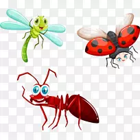 昆虫免版税插图.手绘昆虫-空若网 昆虫免版税插图.手绘昆虫-空若网