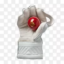 保管员手套板球球棒板球-空若网 保管员手套板球球棒板球-空若网