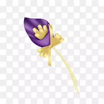 花瓣切花植物茎开花植物-植物-空若网 花瓣切花植物茎开花植物-植物-空若网