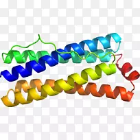 人体珠宝线剪贴画线-空若网 人体珠宝线剪贴画线-空若网