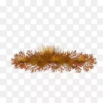 ·ÖÖ§-¿ÕÈôÍø ·ÖÖ§-¿ÕÈôÍø