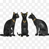 ��è����è�Ű�������������ë��Ŭ��-������