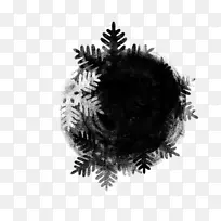 黑人和白人-人-空若网 黑人和白人-人-空若网