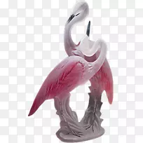 火烈鸟喙动物档案-空若网 火烈鸟喙动物档案-空若网