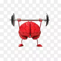 �Դ�СAGY�񾭿�ѧ��֪ѵ��-������-������