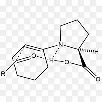 ϩ��Aldol��Ӧ�߻�Aldol���ϻ�ѧ��Ӧ-������Ӧ-������