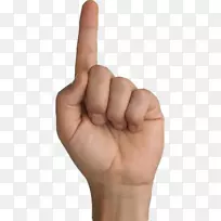 ʳָ��ָĴָ������-������