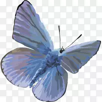 ��������ɶ������-�����������壬���棬����-������