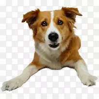 ���￴�������ԮС��-��-������