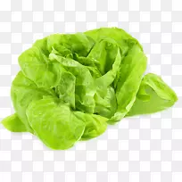 叶莴苣蔬菜冰山莴苣品种食品蔬菜-空若网 叶莴苣蔬菜冰山莴苣品种食品蔬菜-空若网