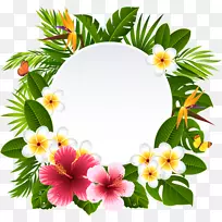 花卉收藏摄影剪贴画-花卉-空若网 花卉收藏摄影剪贴画-花卉-空若网