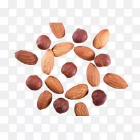 ��Ӹɹ�����-���������-������