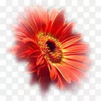 博客绘图.de-人-空若网 博客绘图.de-人-空若网