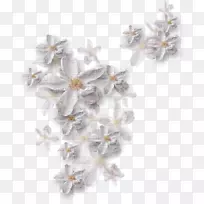 中心博客-空若网 中心博客-空若网