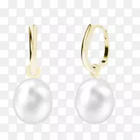 �������������.�鱦-������