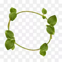 藤树光栅图形.树-空若网 藤树光栅图形.树-空若网