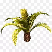 �����������ƿ�������������-������