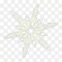 人体珠宝对称-空若网 人体珠宝对称-空若网