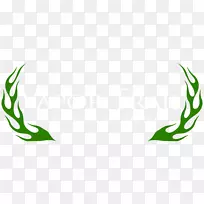 叶草植物茎商品剪贴画-叶-空若网 叶草植物茎商品剪贴画-叶-空若网