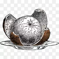 t恤帽椰子果卡车司机帽t恤-空若网 t恤帽椰子果卡车司机帽t恤-空若网