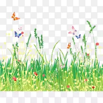 Ö½·¿²ÝÂ̲Ý-¿ÕÈôÍø Ö½·¿²ÝÂ̲Ý-¿ÕÈôÍø