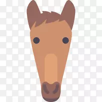 马鼻子玩具贵宾犬-空若网 马鼻子玩具贵宾犬-空若网