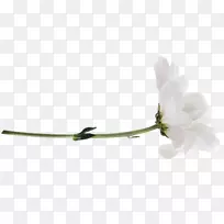 »¨»Ü»¨Ô°Ãµ¹å»¨°ê¼ôÌù»-»¨-¿ÕÈôÍø »¨»Ü»¨Ô°Ãµ¹å»¨°ê¼ôÌù»-»¨-¿ÕÈôÍø