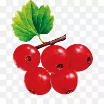 ´×ÀõÓ£ÌÒ-¿ÕÈôÍø ´×ÀõÓ£ÌÒ-¿ÕÈôÍø