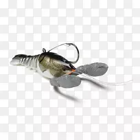 害虫-昆虫-空若网 害虫-昆虫-空若网