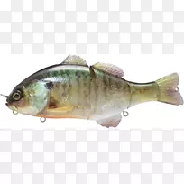 鲈鱼鱼饵和诱饵-空若网 鲈鱼鱼饵和诱饵-空若网