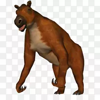 犬种-空若网 犬种-空若网