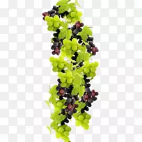 葡萄酒、食品、果汁、水果-葡萄-空若网 葡萄酒、食品、果汁、水果-葡萄-空若网