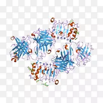 �ߵ���������-������