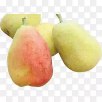 苦梨(Pyrus Nivalis Pyrus Xd 7)-空若网 苦梨(Pyrus Nivalis Pyrus Xd 7)-空若网