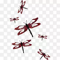 �������ѹȸ�ͼƬ�ֻ�����-������