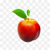 ���ҹ�����-��-������