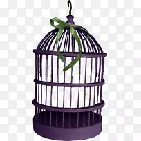 鸟笼宠物剪贴画-空若网 鸟笼宠物剪贴画-空若网