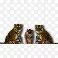 桌面壁纸显示分辨率-空若网 桌面壁纸显示分辨率-空若网