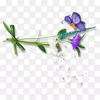 动画电影博客自然-空若网 动画电影博客自然-空若网