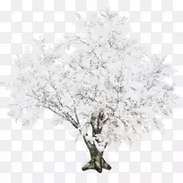 ����װ��PostScript��������-������