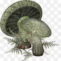 Ģ������-Ģ��-������