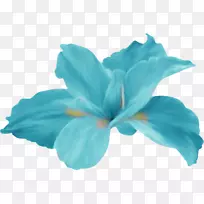 ���������-������